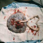 white and red tissue paper